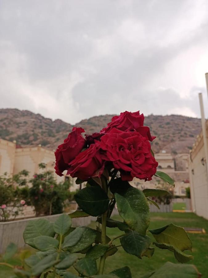 Fiori Resort Ta'if Eksteriør billede